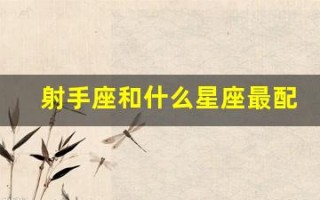 射手座和什么星座最配(射手座和什么星座最配做情侣)
