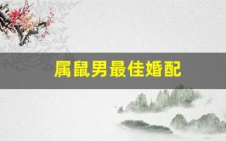 属鼠男最佳婚配(属鼠男最佳婚配属相第一名)