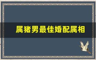属猪男最佳婚配属相(属猪男最佳婚配属相表)