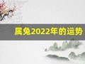 属兔2022年的运势(属兔2026年运势完整版)