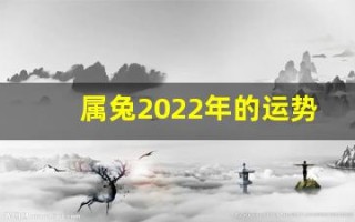 属兔2022年的运势(属兔2024年运势)