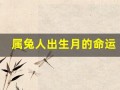属兔人出生月的命运(属兔人出生月的命运详解)
