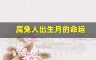 属兔人出生月的命运(属兔人出生月的命运详解)