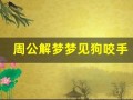 周公解梦梦见狗咬手(梦见狗咬手指头出血了)