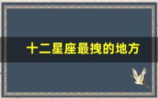 十二星座最拽的地方(十二星座的最佳配对表)