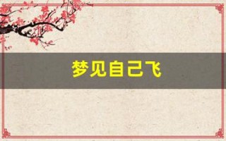 梦见自己飞(梦见自己飞了起来)