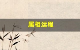 属相运程(属相运程2024每月运程)