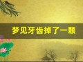梦见牙齿掉了一颗(做梦牙齿掉了几颗是什么预兆)