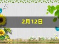 2月12日(2月12日是什么星座)