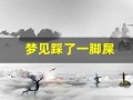 梦见踩了一脚屎(女人梦见脚踩大便预示着什么)