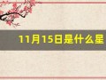 11月15日是什么星座(2015年11月15日是什么星座)