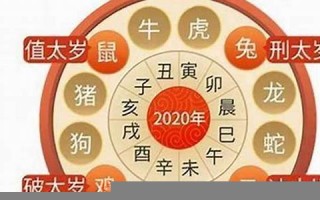 属虎人2022年全年运势(属虎人2024年全年运势详解)