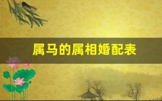 属马的属相婚配表(属相婚配十二生肖年龄表)