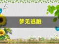 梦见逃跑(梦见逃跑被人追赶拼命逃跑)