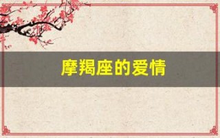 摩羯座的爱情(摩羯座的爱情 风细柳斜)