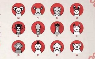 视而不见是什么生肖(视而不见打一肖)