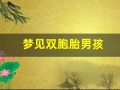 梦见双胞胎男孩(梦见双胞胎男孩是吉兆吗)