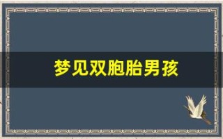 梦见双胞胎男孩(梦见双胞胎男孩是吉兆吗)