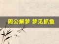 周公解梦 梦见抓鱼(求周公解梦梦见抓鱼)