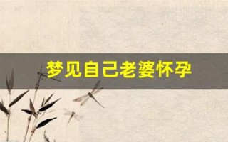 梦见自己老婆怀孕(男人梦见自己老婆怀孕)