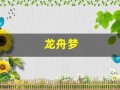 龙舟梦(龙舟梦歌词)
