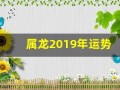 属龙2019年运势(属龙2019年的运势)