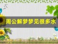 周公解梦梦见很多水(周公解梦梦见很多水和鱼)