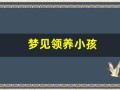 梦见领养小孩(做梦领养个孩子)