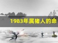 1983年属猪人的命运(1983年属猪人的命运与婚姻)