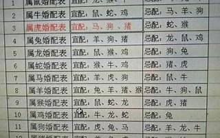 94年属啥的(94年属啥的多大了女的)