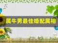 属牛男最佳婚配属相(属牛男最佳婚配属相表)