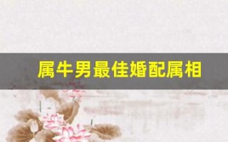 属牛男最佳婚配属相(属鼠男最佳婚配属相)