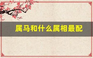属马和什么属相最配(属马和什么属相最配婚姻最佳)