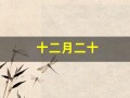 十二月二十(十二月二十九日是什么星座)
