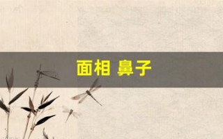 面相 鼻子(面相 鼻子歪)