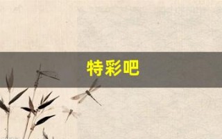 特彩吧(齐中网正资料特彩吧)