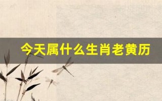 今天属什么生肖老黄历(今天属什么生肖老黄历属什么)