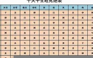 十二运(十二运是什么意思)