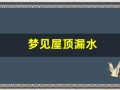 梦见屋顶漏水(梦见屋顶漏水是什么意思)