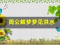 周公解梦梦见洪水(周公解梦梦见洪水把房)