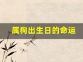属狗出生日的命运(属狗出生日的命运如何)