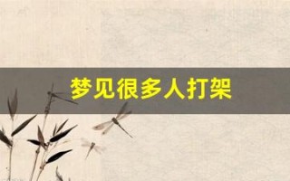 梦见很多人打架(梦见很多人打架血腥场面)