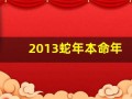 2013蛇年本命年(2013蛇年本命年文案)