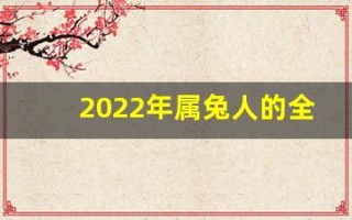 2022年属兔人的全年运势(2022年属兔人全年运势完整版)