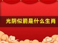 光阴似箭是什么生肖(光阴似箭打一生肖动物)