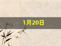 1月20日(1月20日的水瓶座的性格)