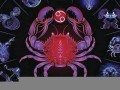 巨蟹座与12星座配对(巨蟹和十二星座)