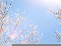 3月27日黄道吉日查询(这几天哪一天是黄道吉日)