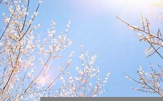3月27日黄道吉日查询(3月27日黄历吉日查询)