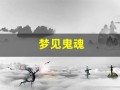 梦见鬼魂(梦见鬼魂之类的东西)